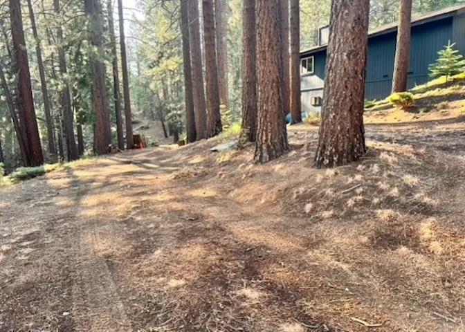 a view of outdoor space and yard