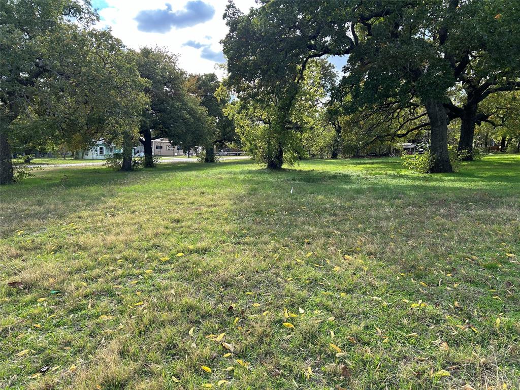 a view of park with trees