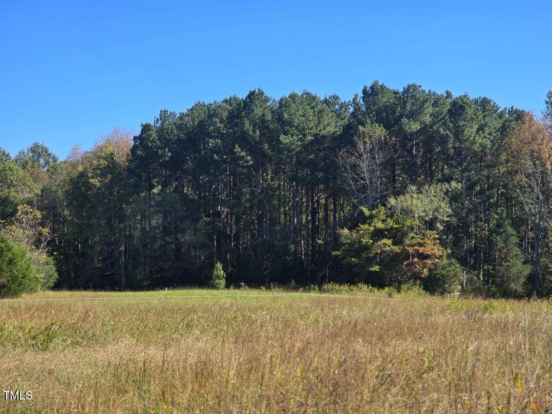 a view of yard and trees