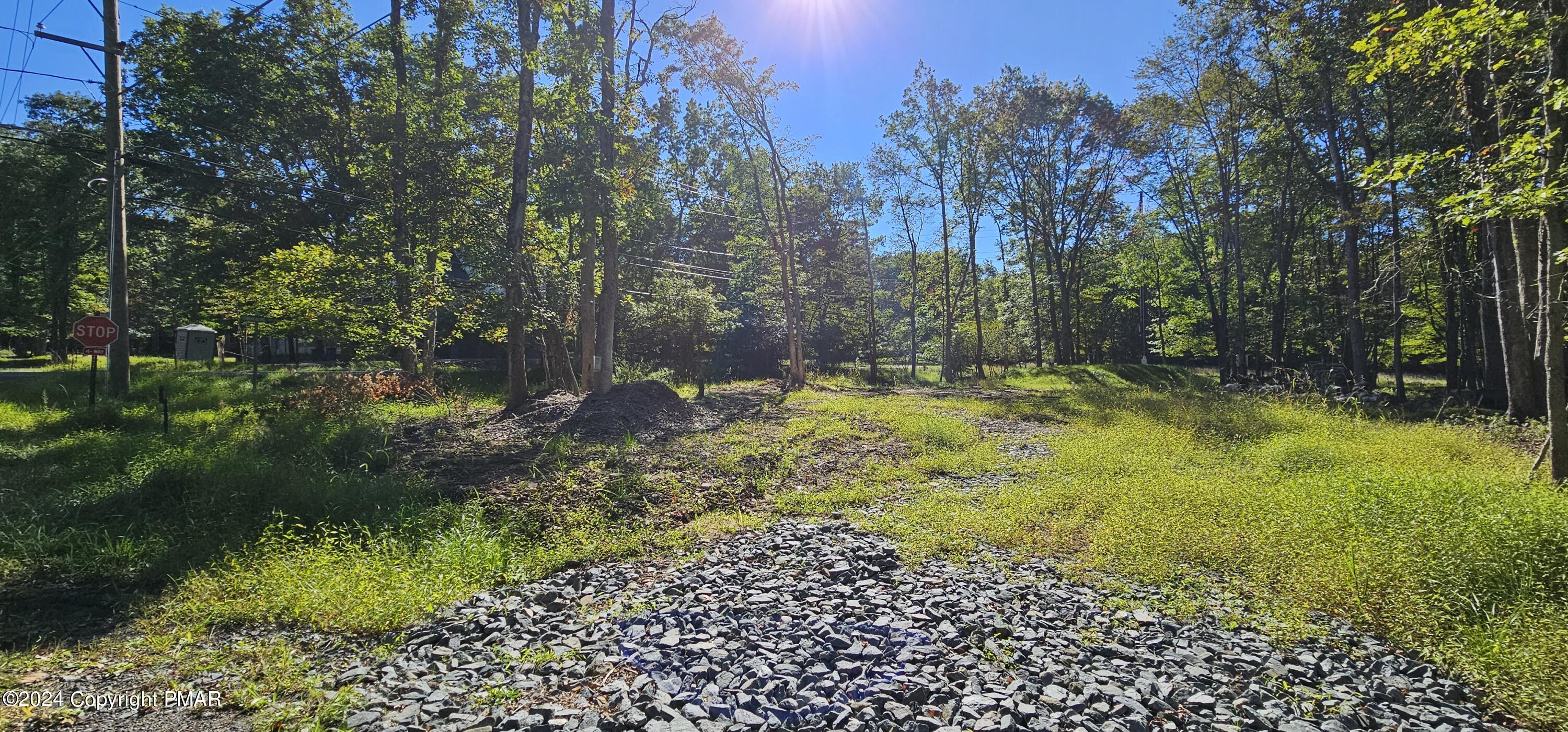 a view of yard with green space