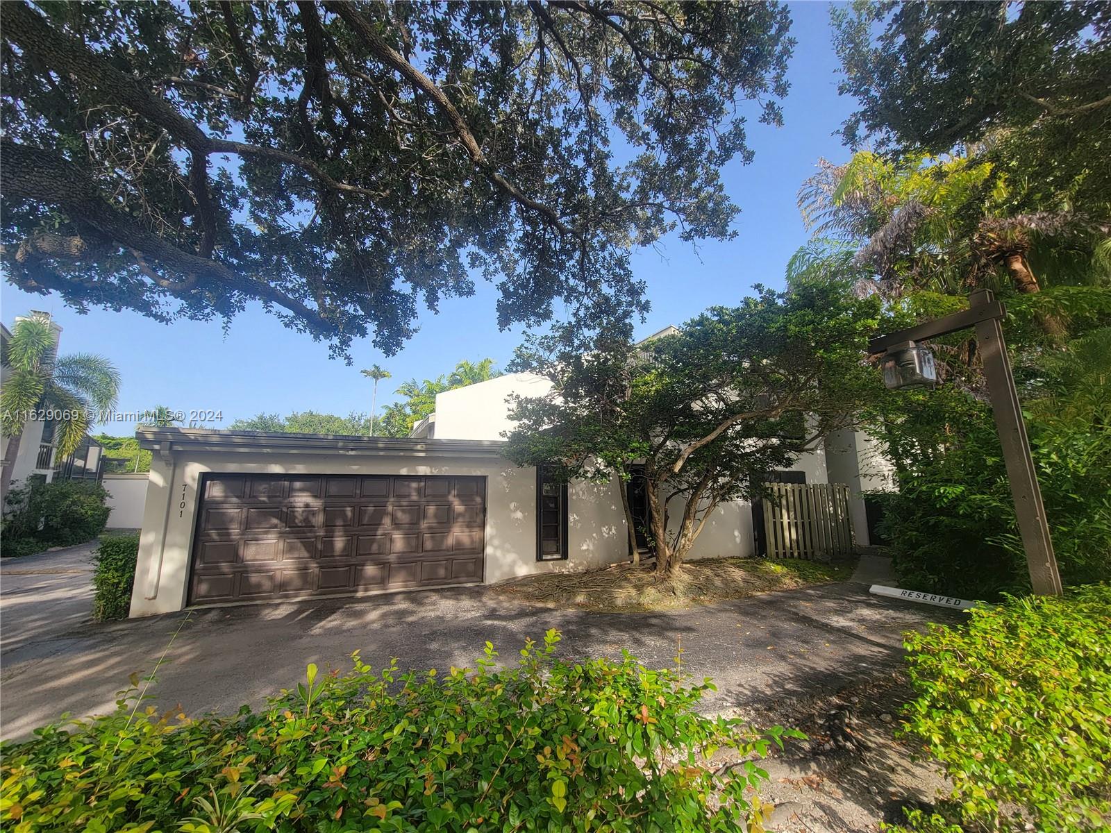 a view of a yard with plants and large tree