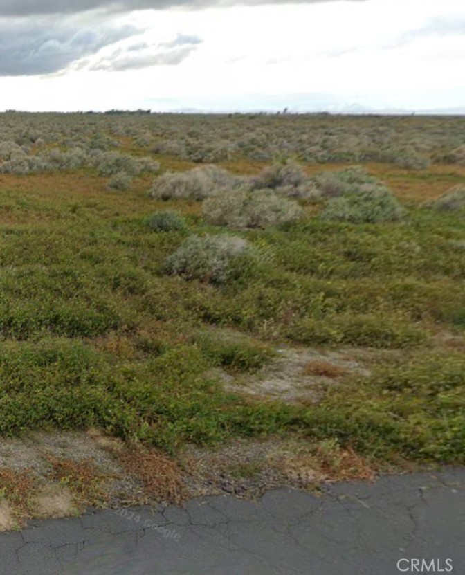 a view of a field with an ocean