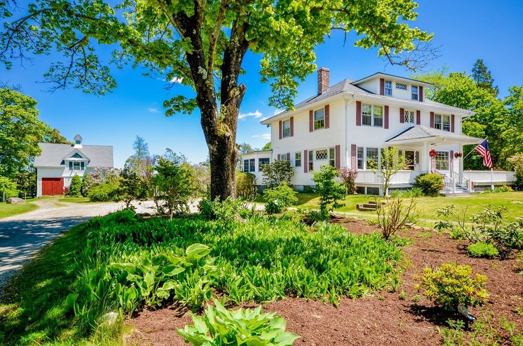 a view of a yard with plants and large trees