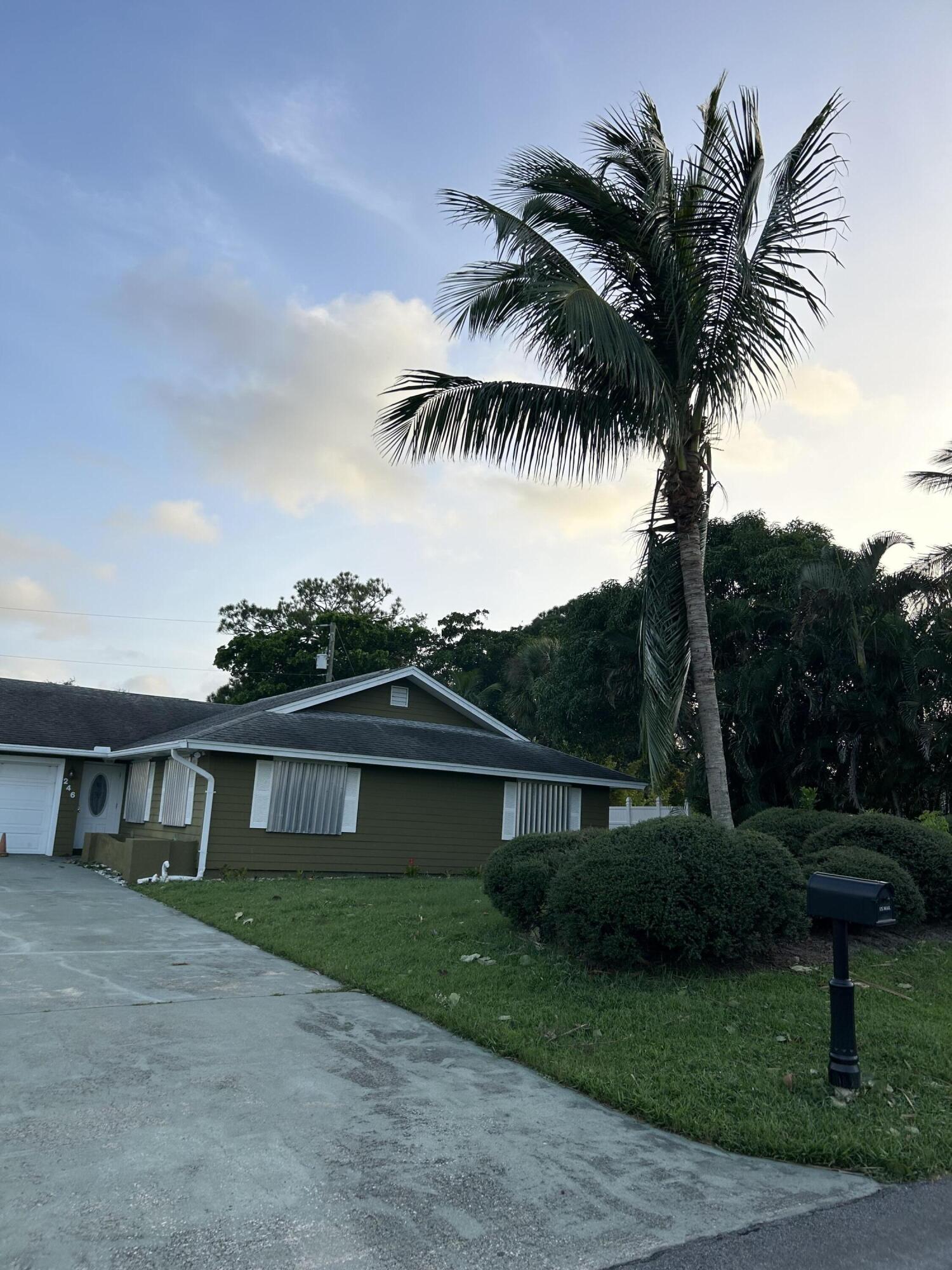 a front view of a house with a yard and palm tree