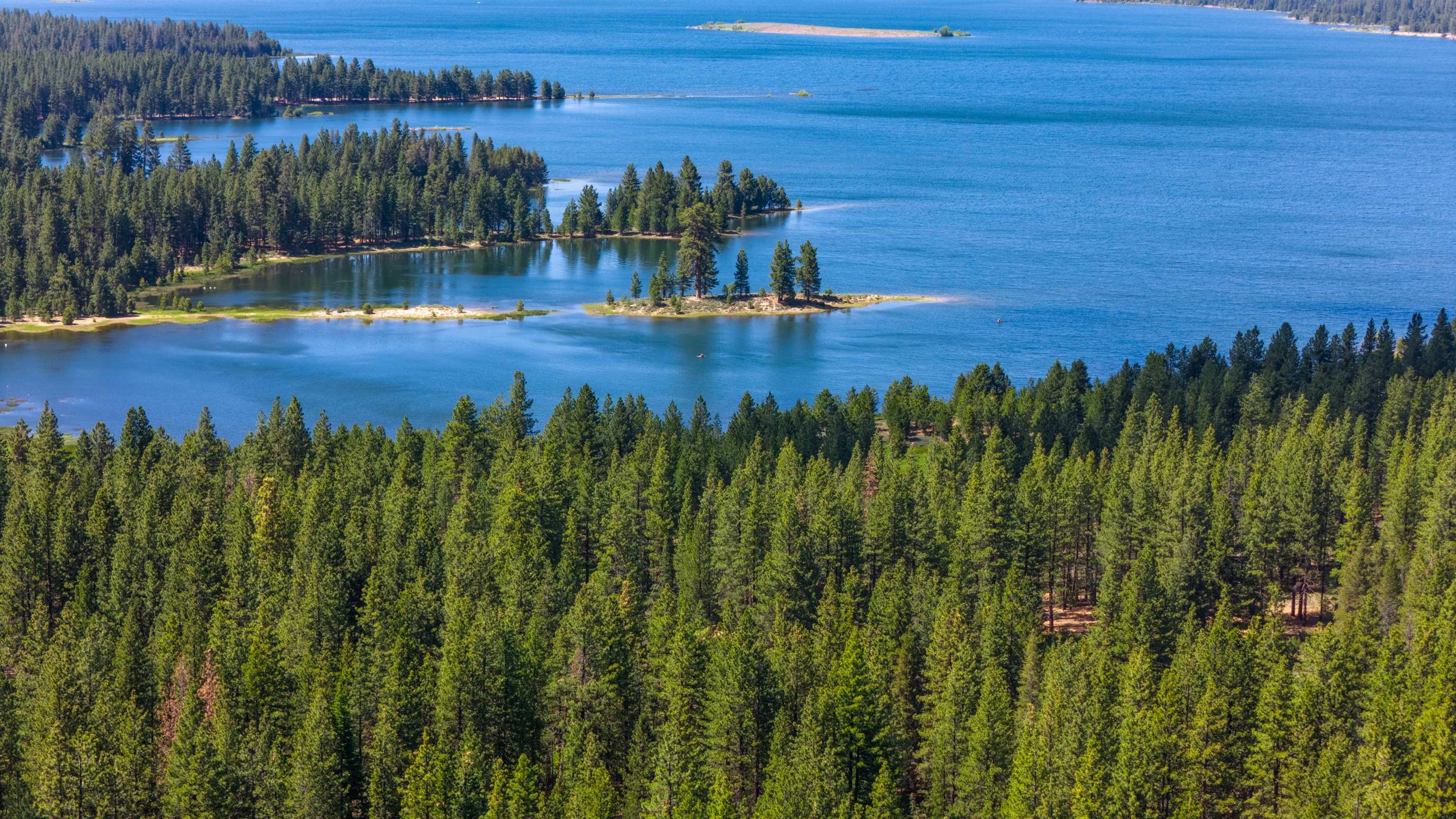 a view of a lake with houses in the back