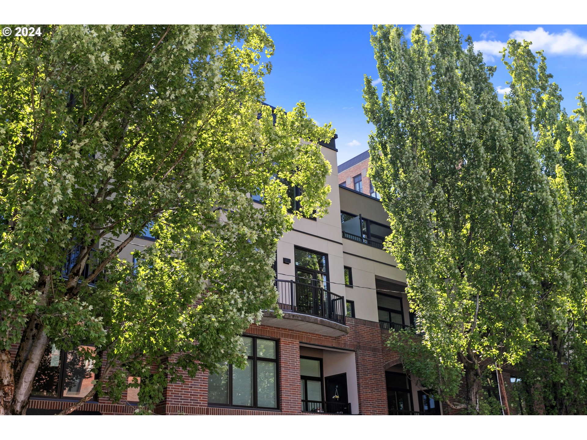 a view of a house with a tree