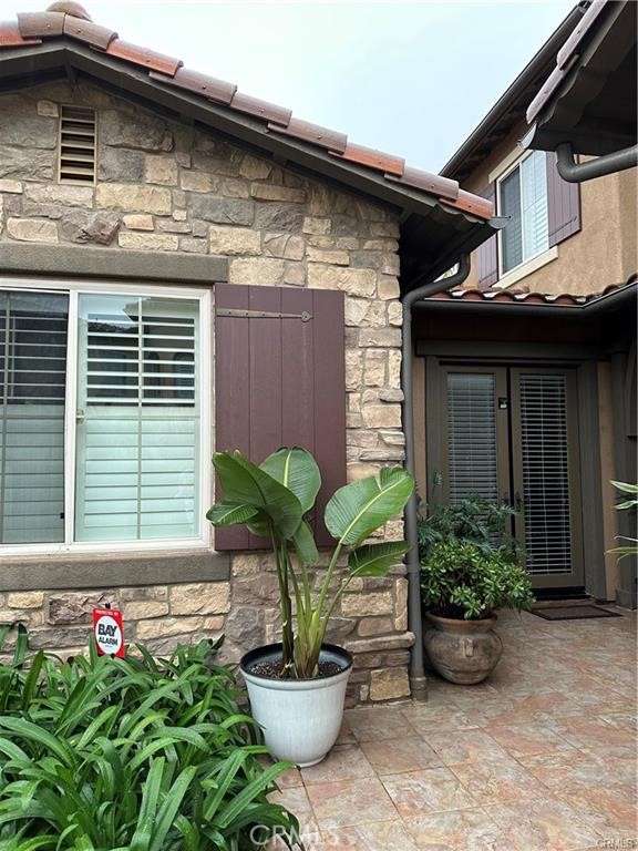 a potted plant sitting in front of a house