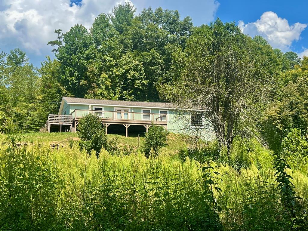 a view of house with a yard