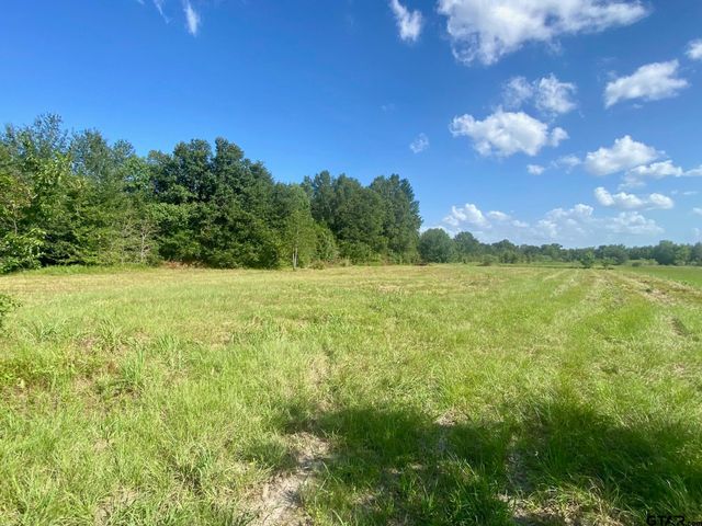 $15,500 | Lot #133 J B McDuff Drive | Crockett