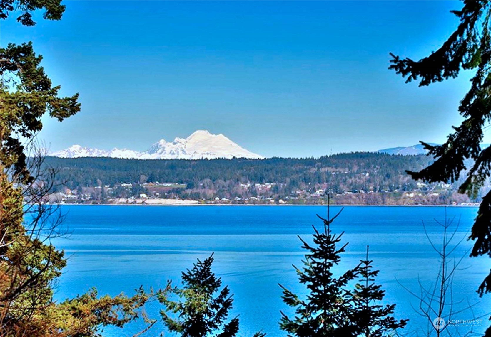 a view of a lake with a mountain in the background