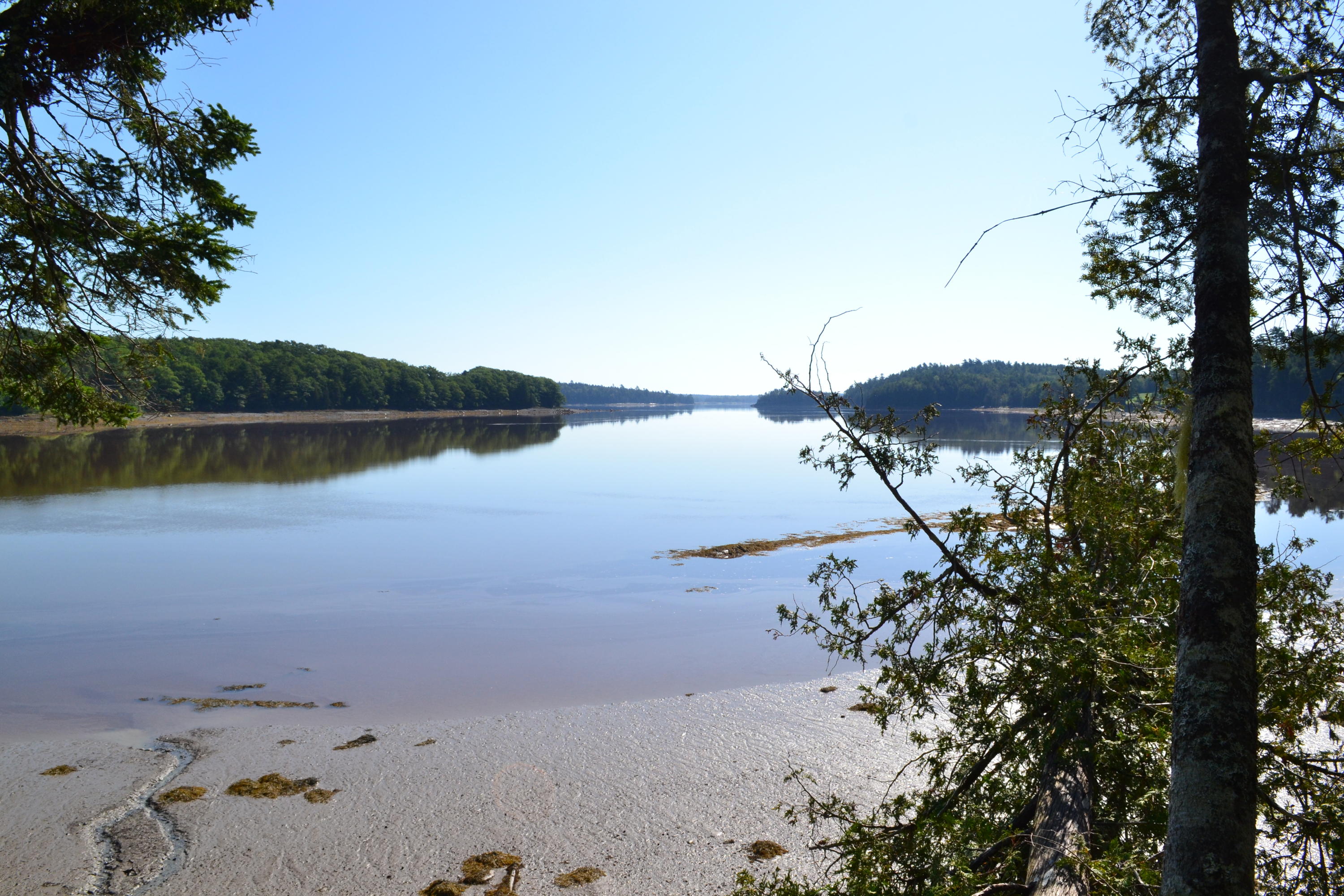 view from property out to bay