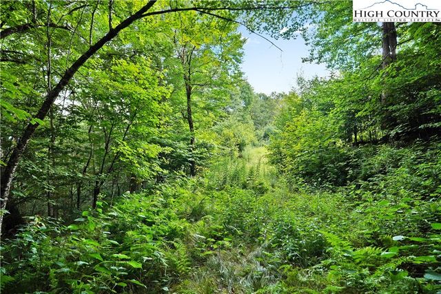 $299,000 | Lot #4 North Chappell Farm Road | Banner Elk Township - Avery County