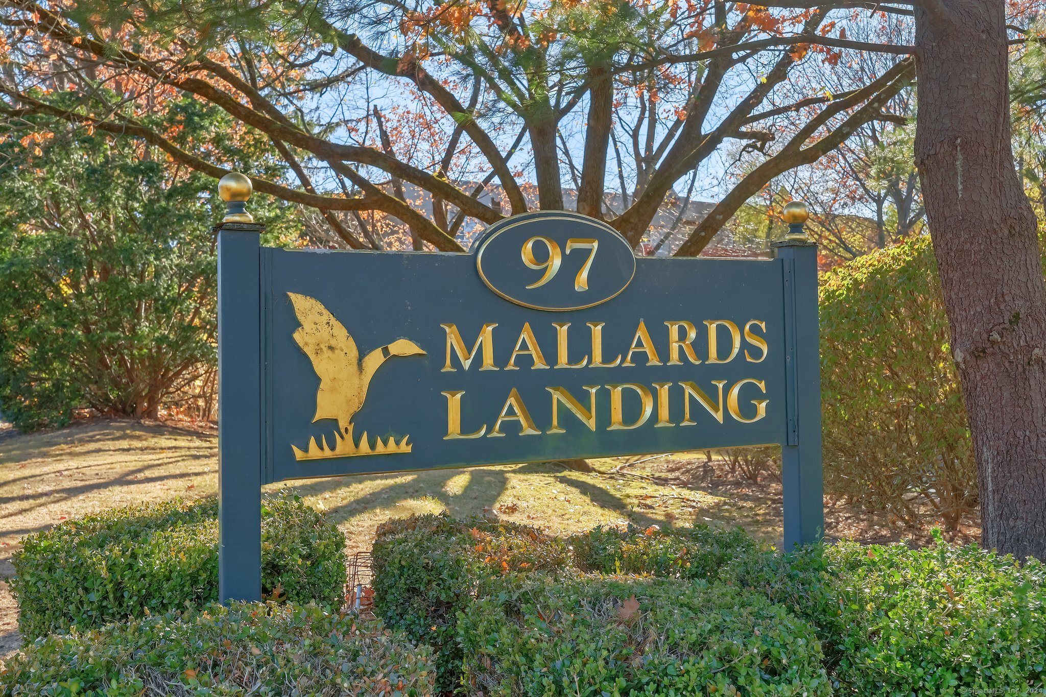 a street sign under a large tree