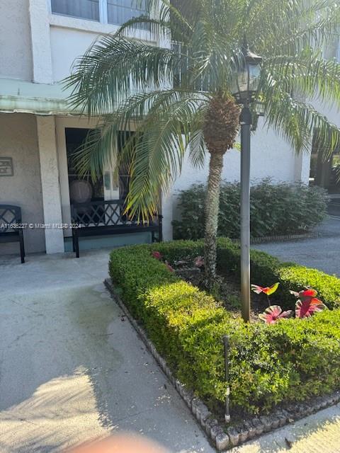 a view of a backyard with plants and a patio