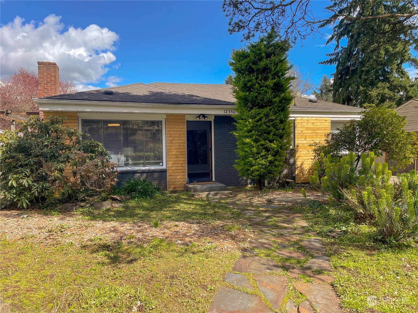 a view of a house with potted plants and a large tree