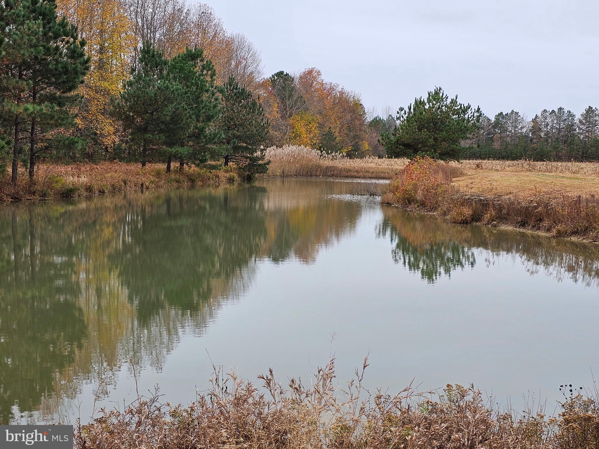 a view of lake