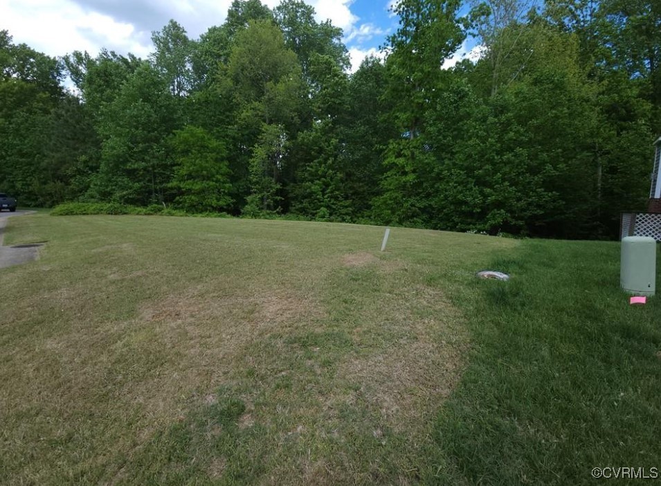 a view of a field with trees in background