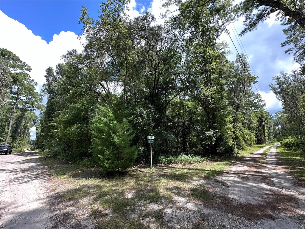 a view of a trees with a yard