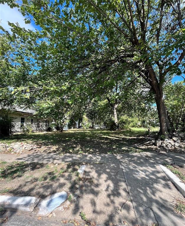 a view of a yard with trees