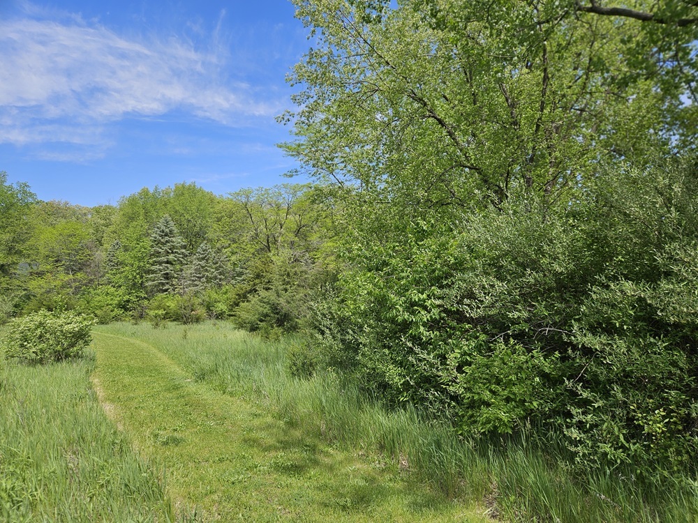 a view of a green yard