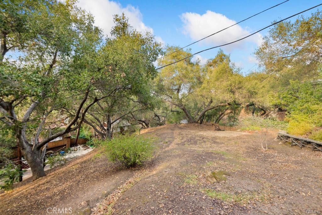 a view of a yard with a tree