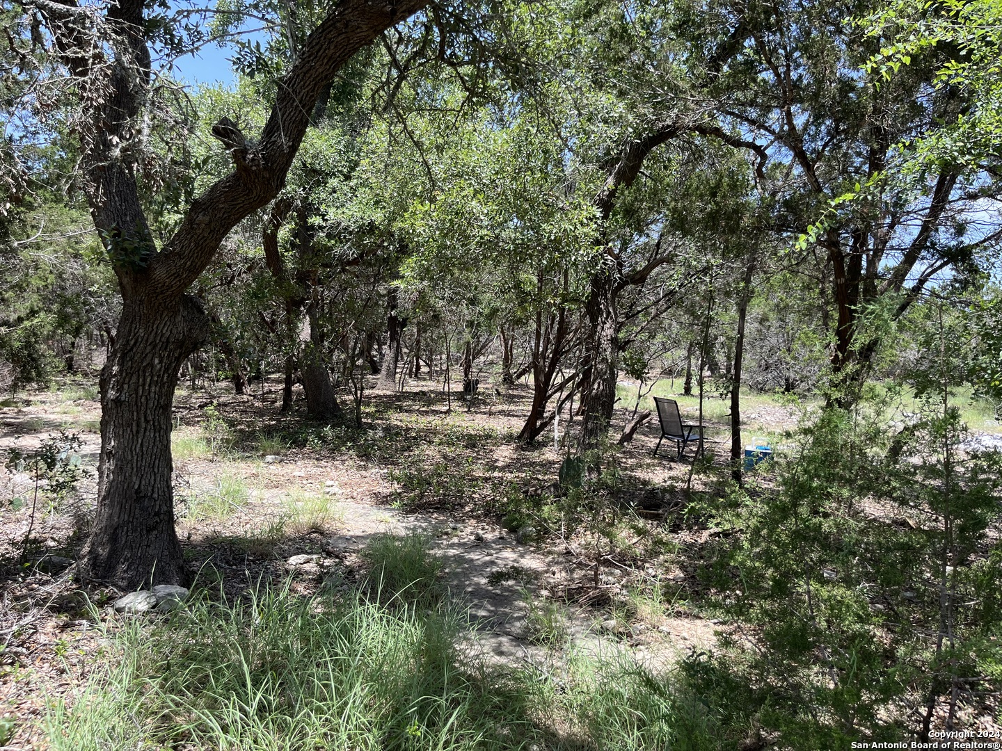 a view of outdoor space with trees