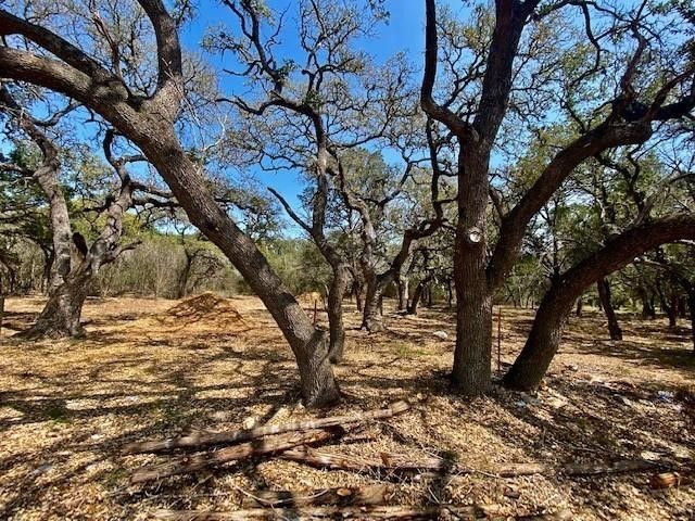 $239,900 | 0 Roger Hanks Parkway | Dripping Springs