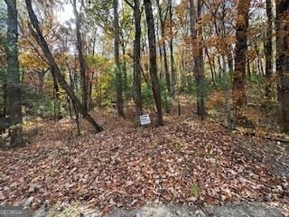 a view of a forest with trees in the background