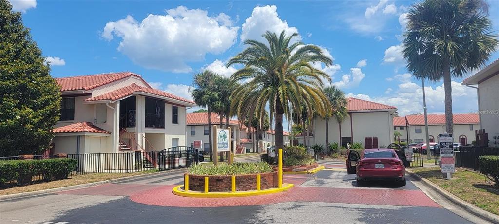 a ocean view with palm trees