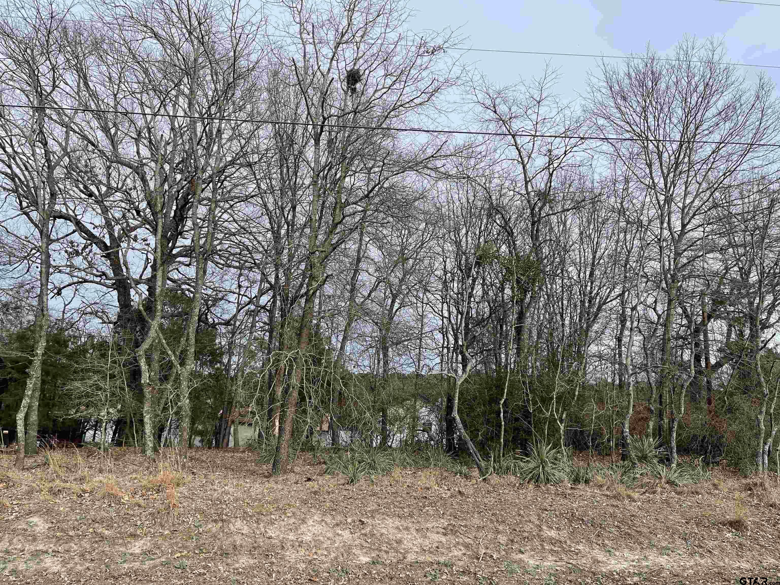 a backyard of a house with lots of trees