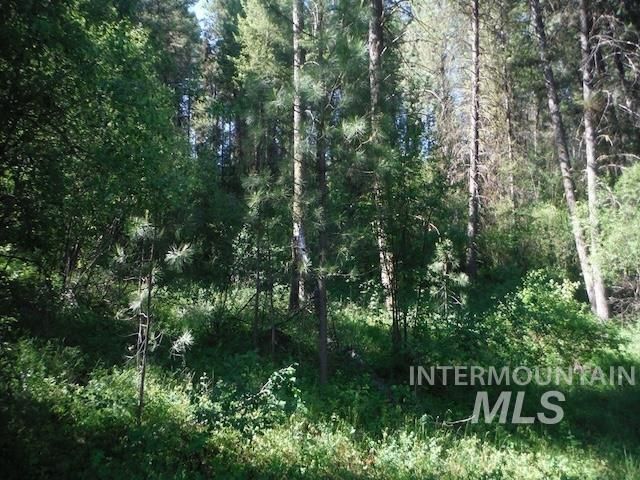 $250,000 | 10 Acres Boise Id 83716