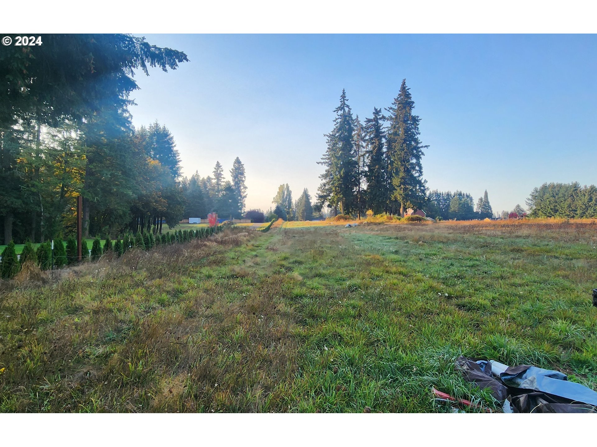 a view of a field with trees in the background