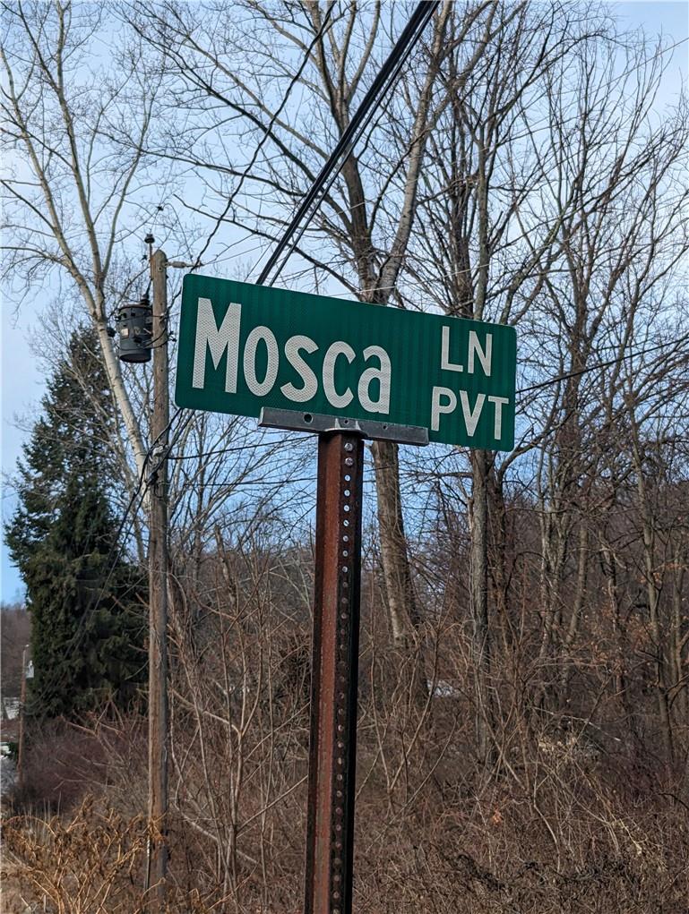 Mosca Lane