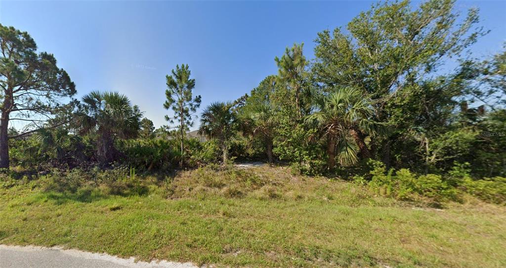 a view of a yard with a tree