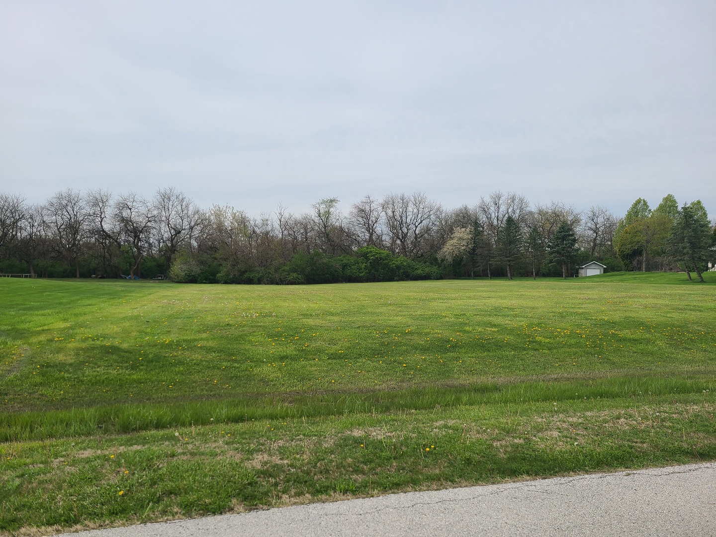 a view of a grassy field