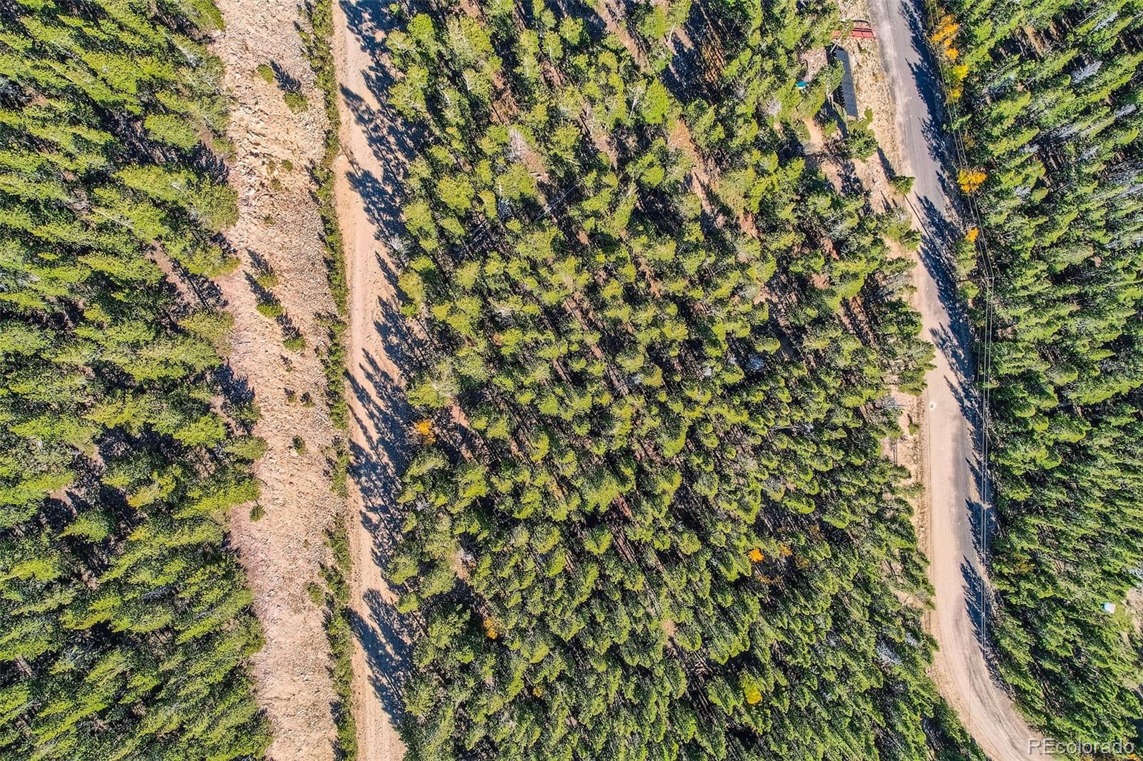 a view of a tree