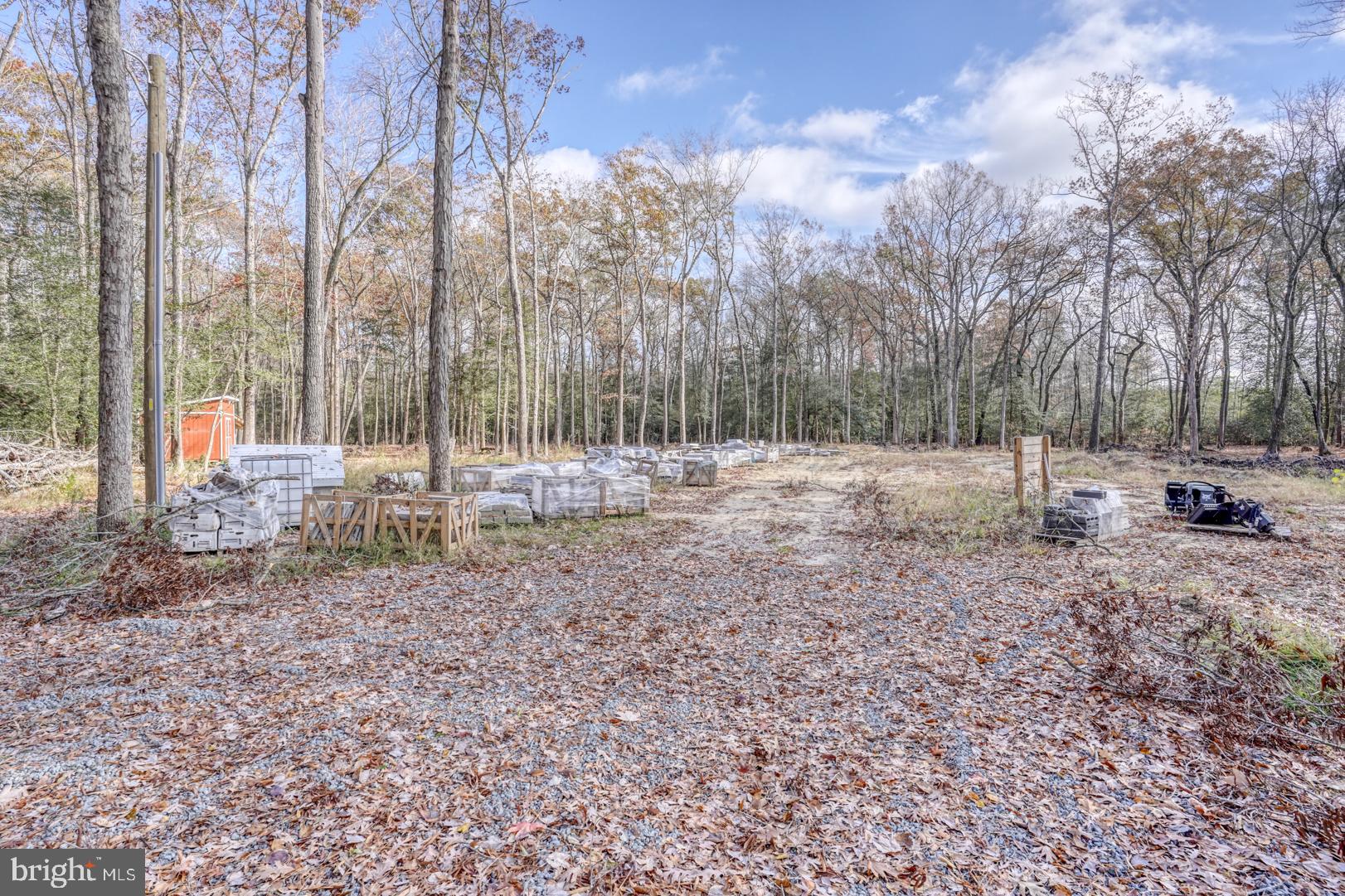 a view of outdoor space with trees