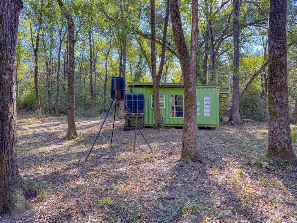 a view of a house with backyard and trees