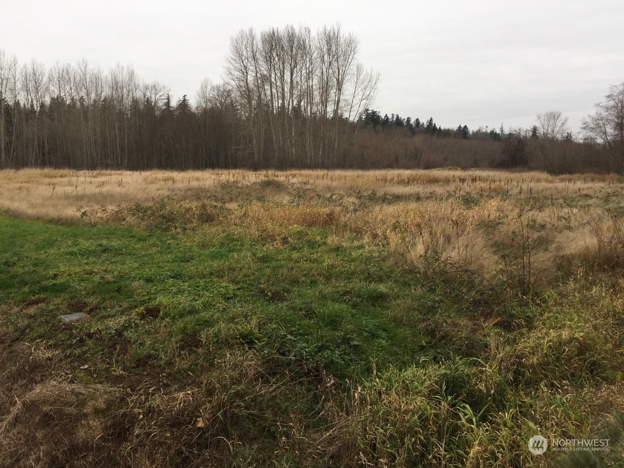 a view of a field with trees in the background