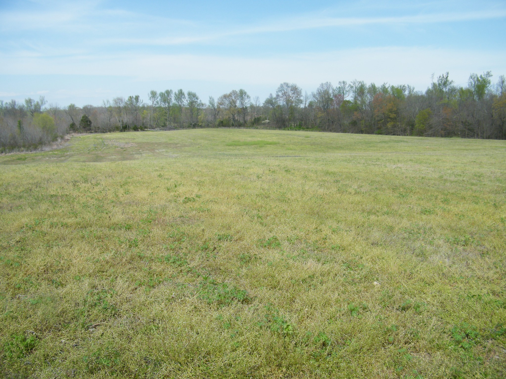 a view of a field with trees in the background