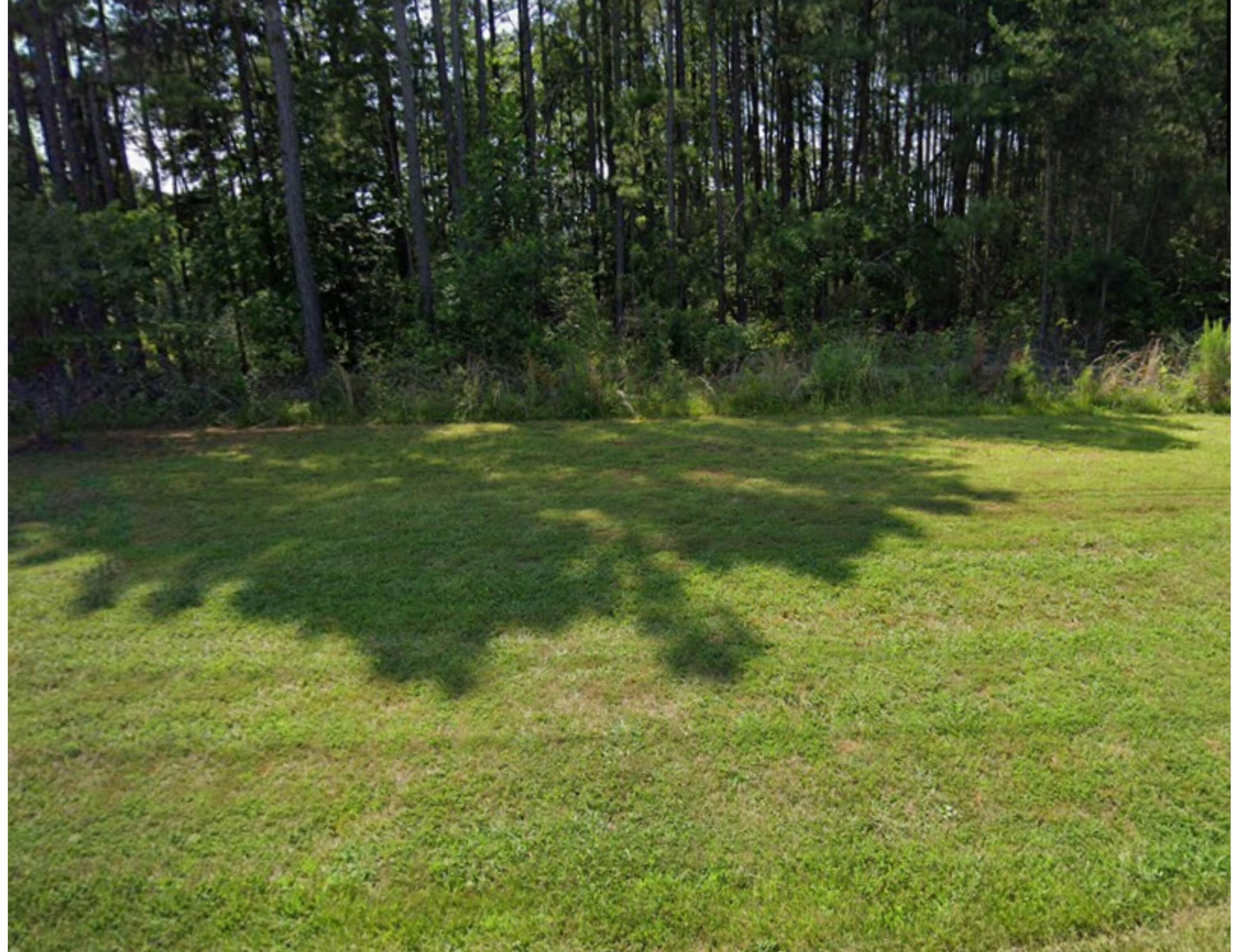 a view of outdoor space with a garden and trees