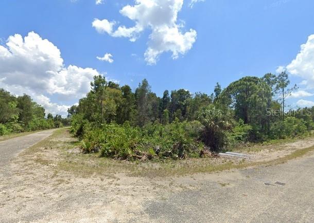 a view of a yard with plants and a trees