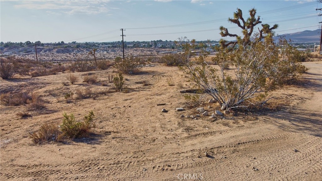 a view of a dry yard