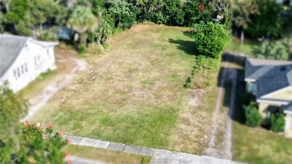 a view of a yard with plants