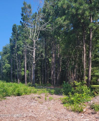 $65,000 | 4 R And T Lane Southeast | Lockwoods Folly Township - Brunswick County