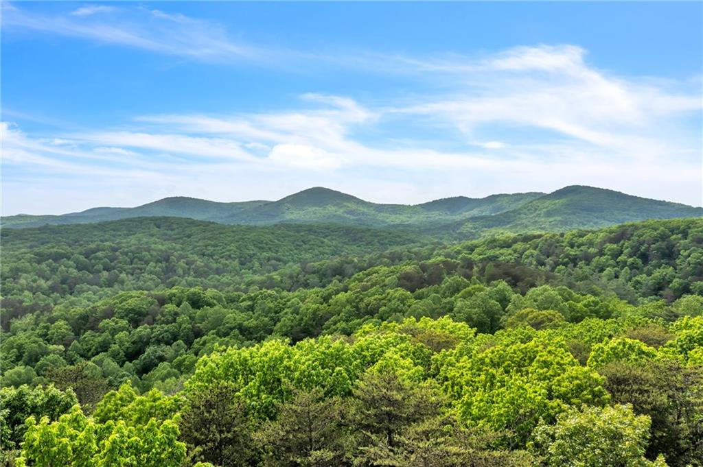 a view of a lush green field with mountains in the background