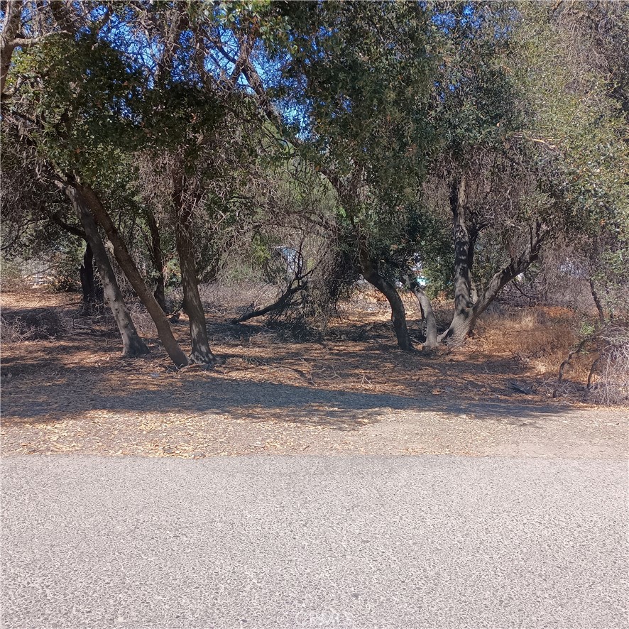 a view of a backyard of the house