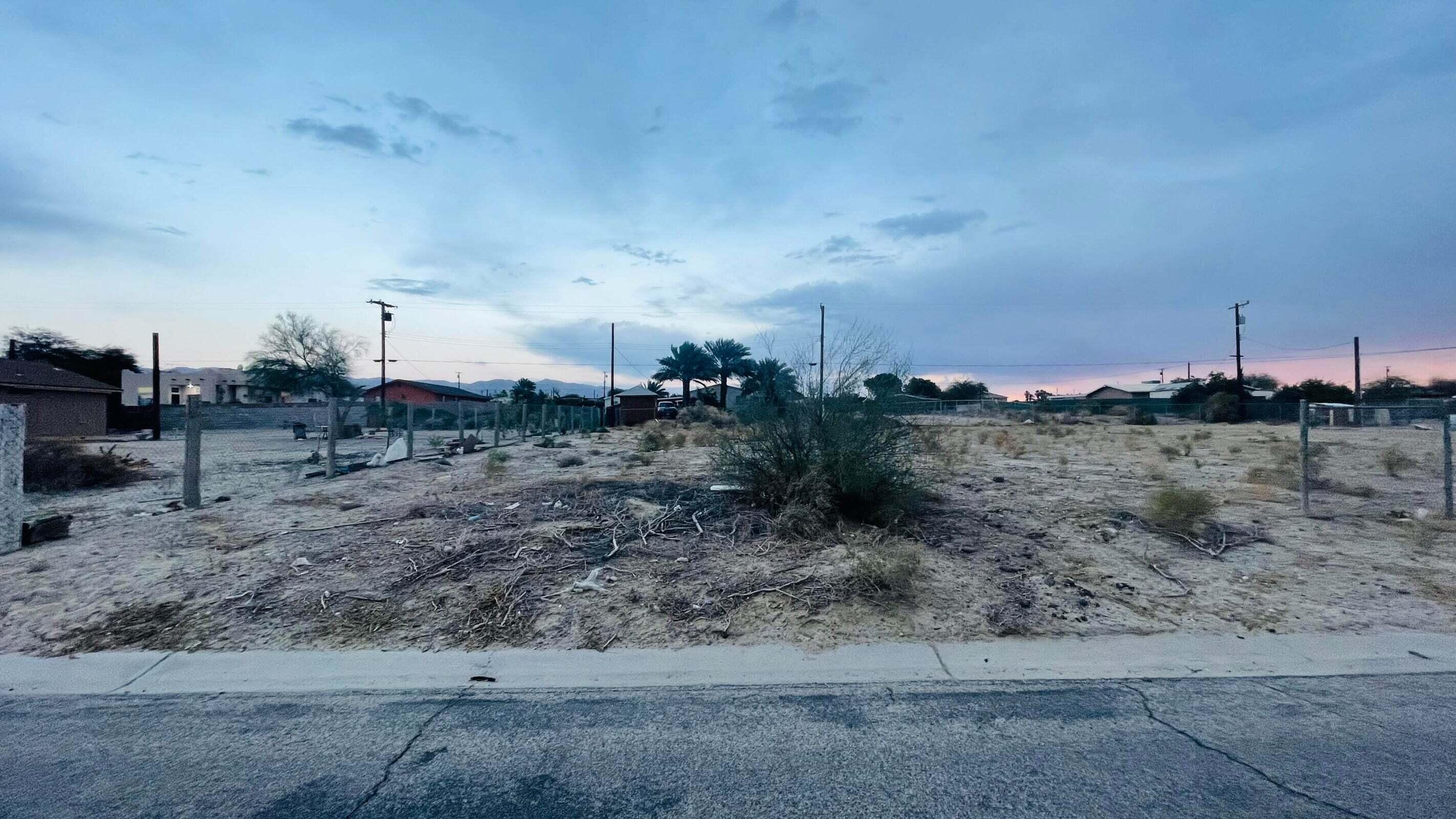 a view of a dry yard with trees