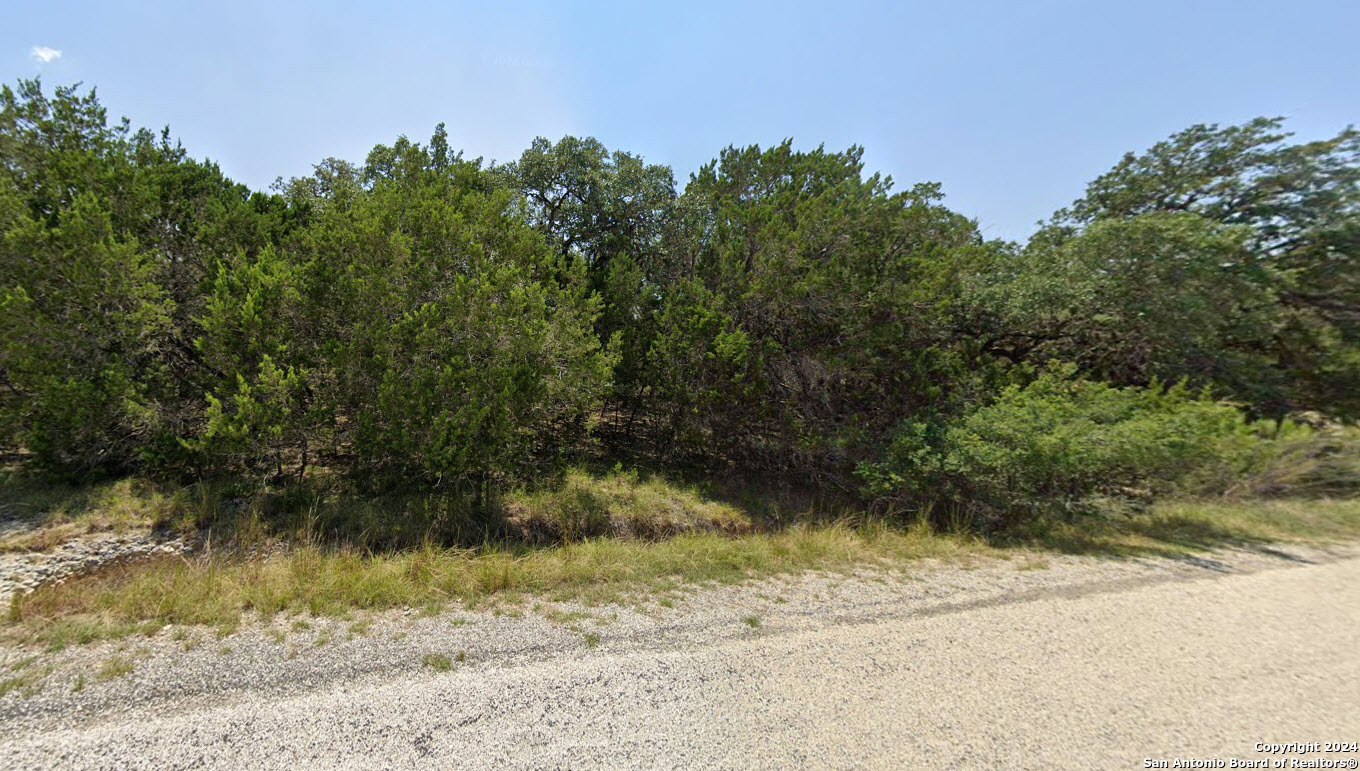 a view of a yard with plants and trees