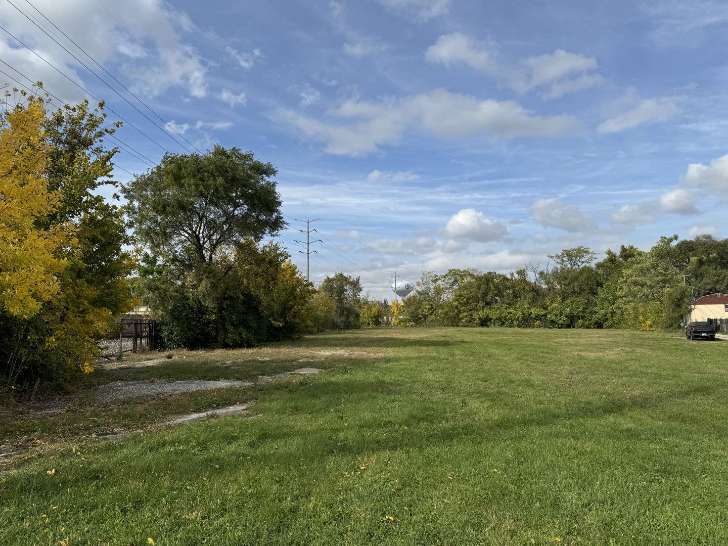 a view of a grassy field with trees